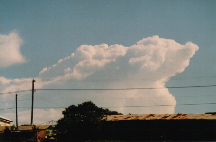 thunderstorm cumulonimbus_incus : Schofields, NSW   29 September 1999