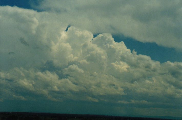 thunderstorm cumulonimbus_incus : Parrots Nest, NSW   24 October 1999