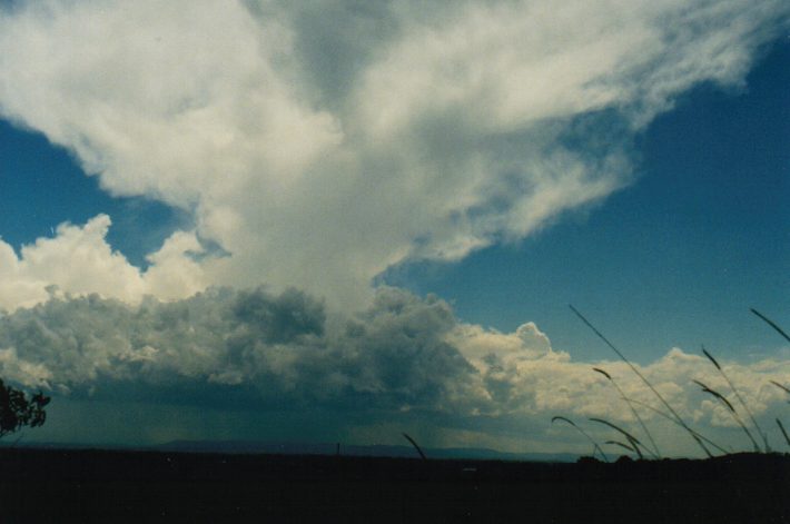 anvil thunderstorm_anvils : Parrots Nest, NSW   24 October 1999