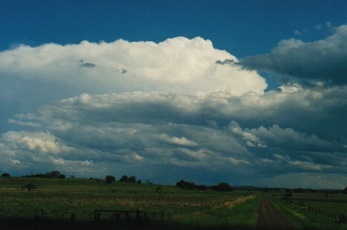 stratocumulus stratocumulus_cloud : E of Casino, NSW   24 October 1999