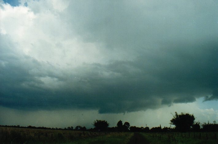 cumulonimbus thunderstorm_base : Tatham, NSW   24 October 1999