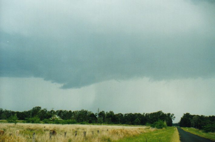 raincascade precipitation_cascade : Tatham, NSW   24 October 1999