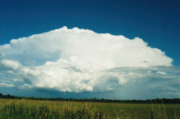 thunderstorm cumulonimbus_incus : S of Lismore, NSW   24 October 1999