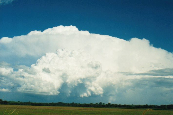 updraft thunderstorm_updrafts : S of Lismore, NSW   24 October 1999