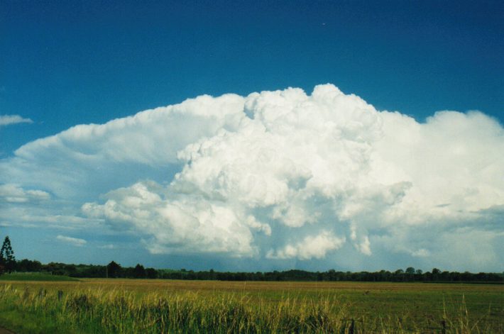 cumulonimbus supercell_thunderstorm : S of Lismore, NSW   24 October 1999