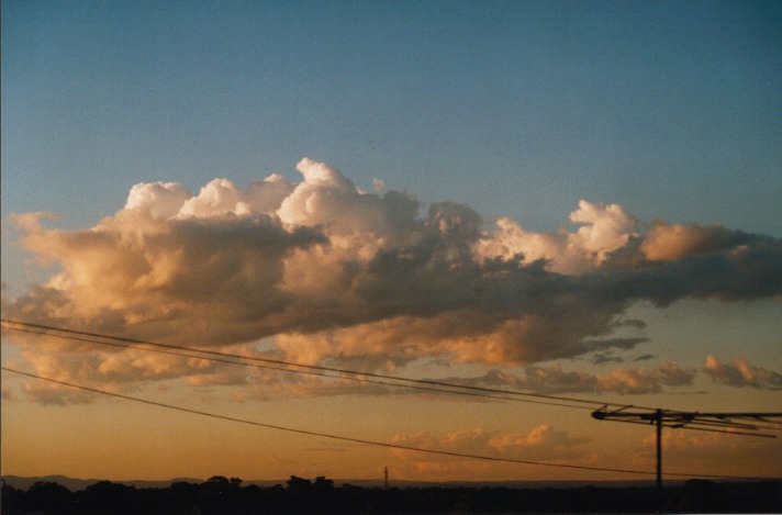 cumulus mediocris : Schofields, NSW   27 October 1999