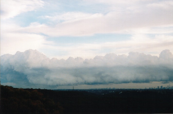 thunderstorm cumulonimbus_calvus : St Ives, NSW   31 October 1999