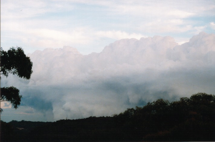 thunderstorm cumulonimbus_calvus : St Ives, NSW   31 October 1999