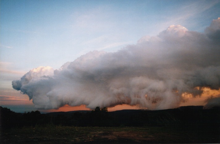 sunset sunset_pictures : Terry Hills, NSW   31 October 1999