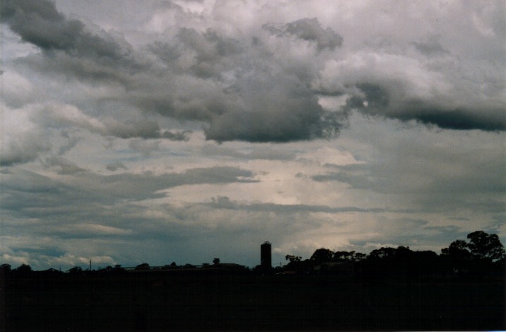 cumulus mediocris : Richmond, NSW   6 November 1999