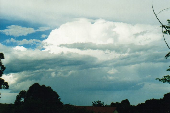 thunderstorm cumulonimbus_calvus : Wollongbar, NSW   7 November 1999