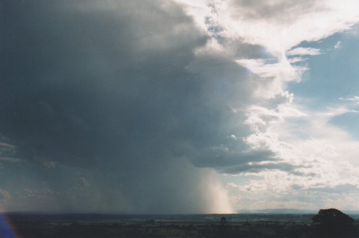 favourites michael_bath : Tregeagle, NSW   7 November 1999