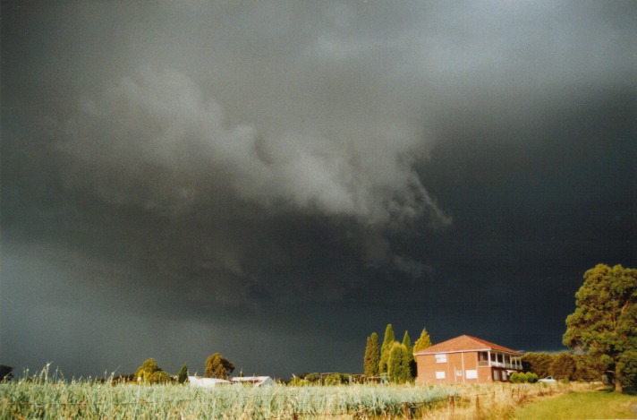 favourites jimmy_deguara : Annangrove, NSW   16 November 1999