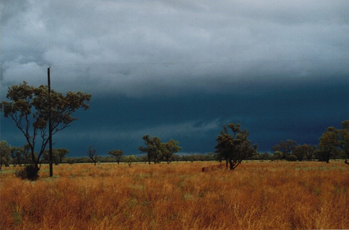 cumulonimbus thunderstorm_base : Barringun, NSW   20 November 1999