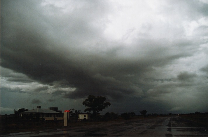 cumulonimbus thunderstorm_base : Barringun, NSW   20 November 1999