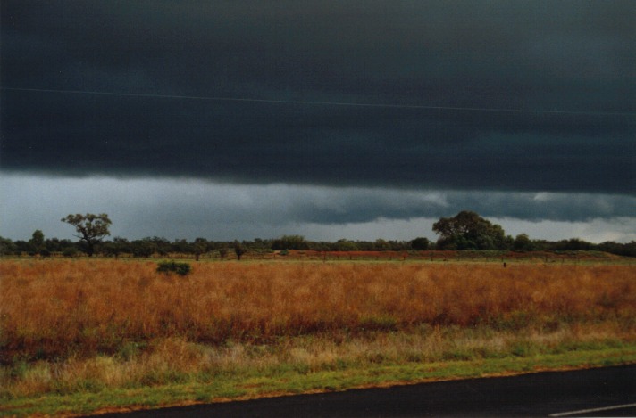 cumulonimbus thunderstorm_base : Barringun, NSW   20 November 1999