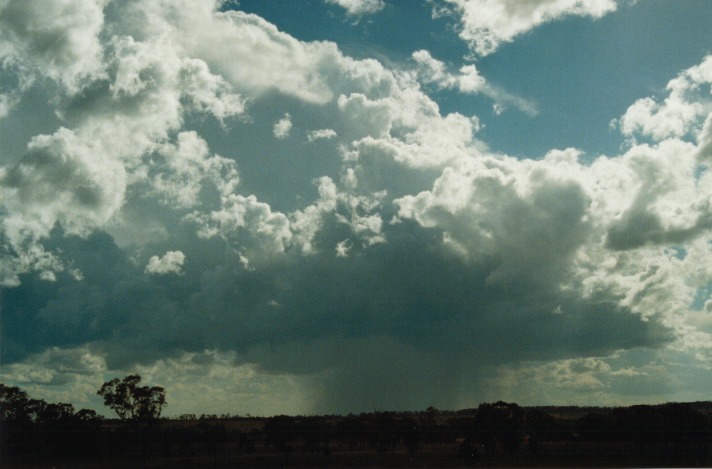 thunderstorm cumulonimbus_calvus : E of Morven, Qld   21 November 1999