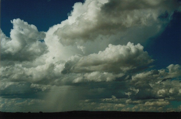 raincascade precipitation_cascade : E of Morven, Qld   21 November 1999