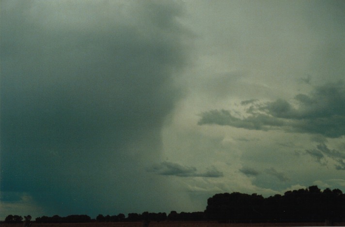 cumulonimbus thunderstorm_base : S of Gumtree, Qld   22 November 1999