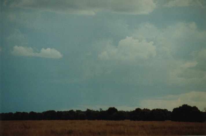 cumulonimbus thunderstorm_base : S of Condamine, Qld   22 November 1999