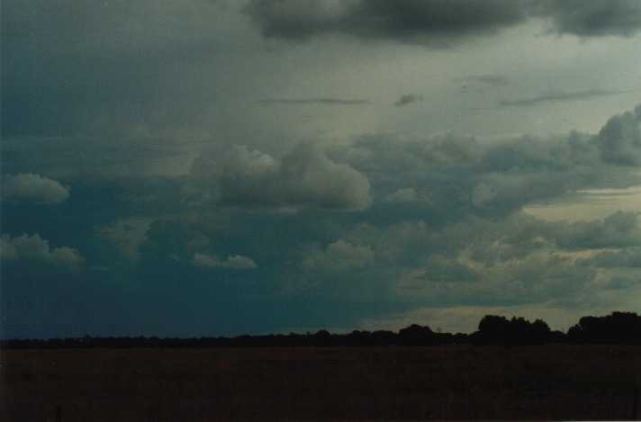 cumulonimbus thunderstorm_base : S of Condamine, Qld   22 November 1999