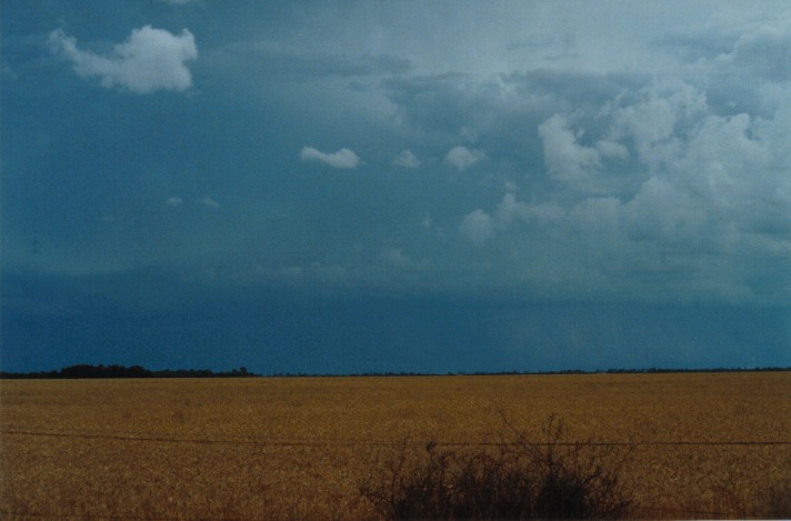 cumulonimbus supercell_thunderstorm : S of Condamine, Qld   22 November 1999