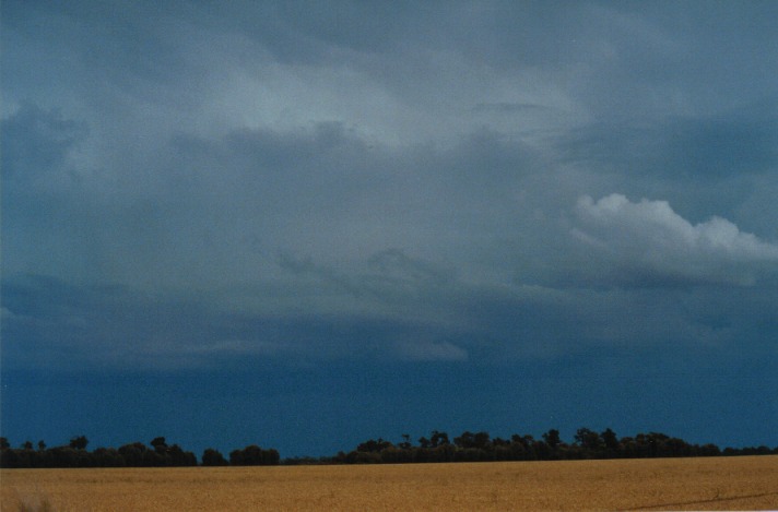 cumulonimbus thunderstorm_base : S of Condamine, Qld   22 November 1999