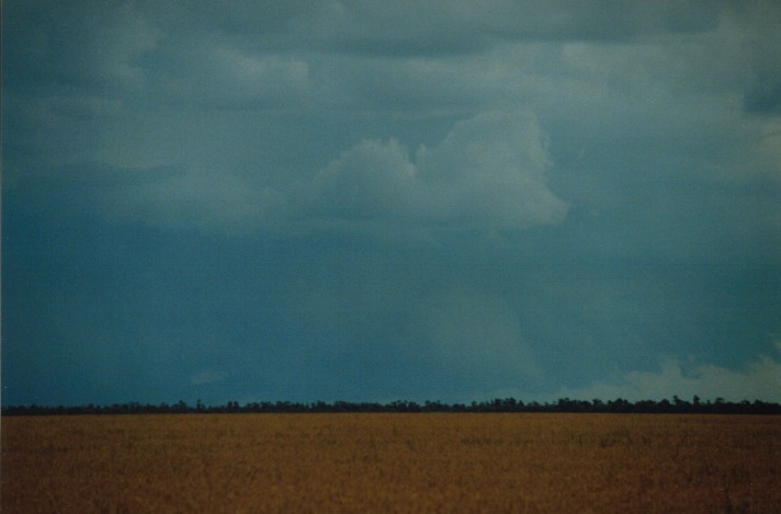 cumulonimbus supercell_thunderstorm : S of Condamine, Qld   22 November 1999