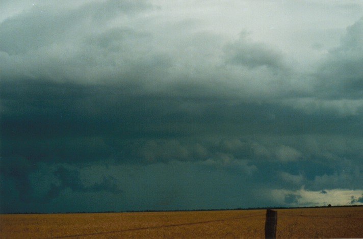 cumulonimbus thunderstorm_base : S of Condamine, Qld   22 November 1999