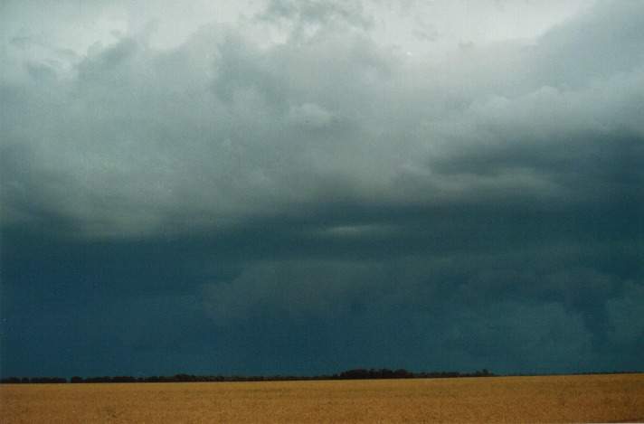 cumulonimbus thunderstorm_base : S of Condamine, Qld   22 November 1999