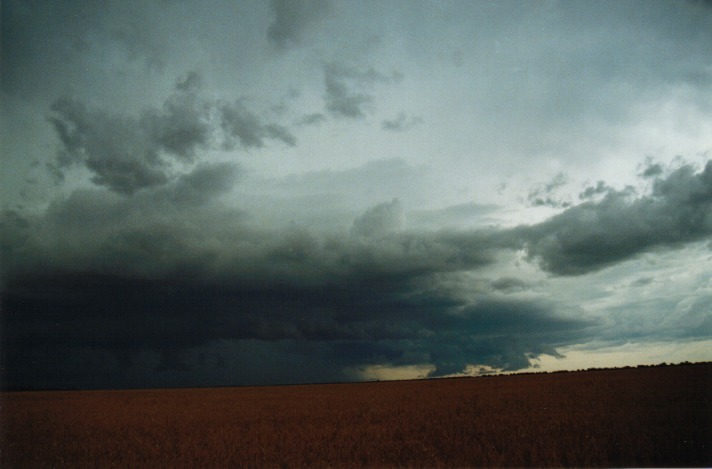 cumulonimbus thunderstorm_base : S of Condamine, Qld   22 November 1999