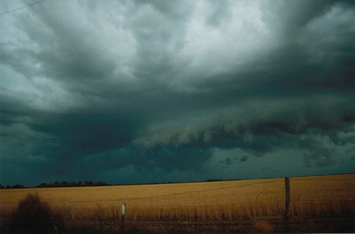 raincascade precipitation_cascade : S of Condamine, Qld   22 November 1999