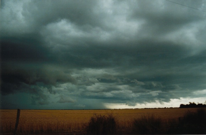 microburst micro_burst : S of Condamine, Qld   22 November 1999