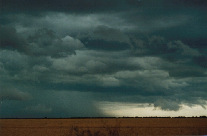 cumulonimbus thunderstorm_base : S of Condamine, Qld   22 November 1999