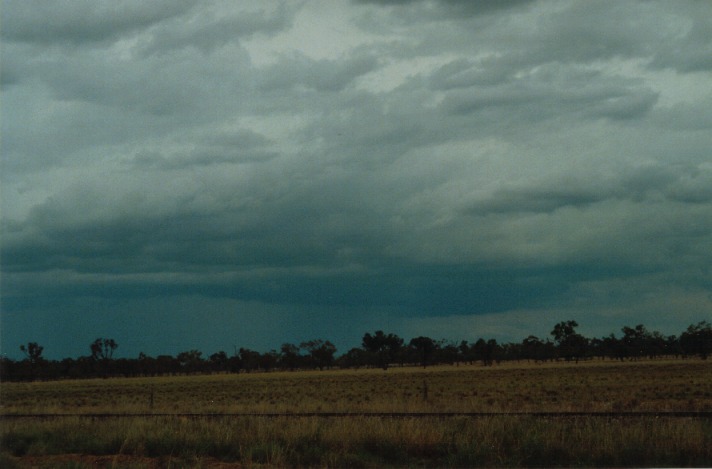 stratocumulus stratocumulus_cloud : S of Wyandra, Qld   26 November 1999