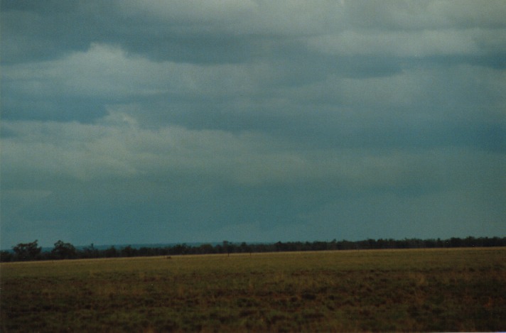 cumulonimbus thunderstorm_base : S of Wyandra, Qld   26 November 1999