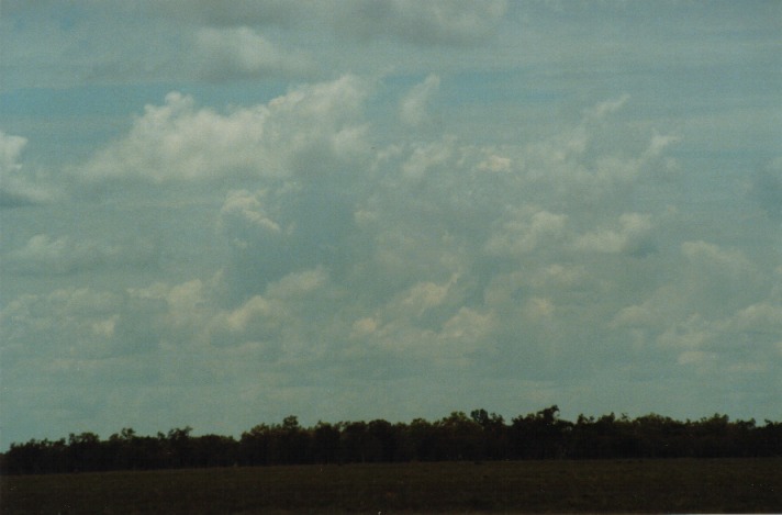 cumulus congestus : S of Cunumulla, Qld   27 November 1999