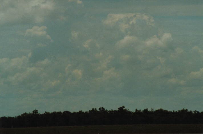 thunderstorm cumulonimbus_calvus : S of Cunumulla, Qld   27 November 1999