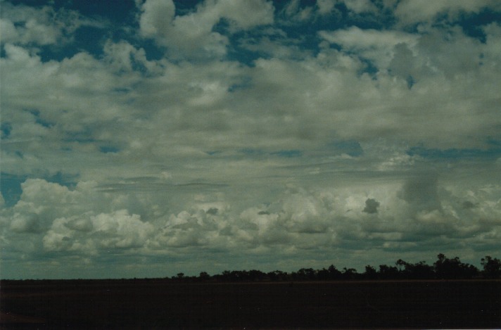 altocumulus castellanus : S of Cunumulla, Qld   27 November 1999