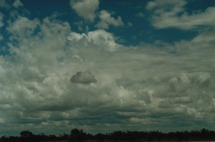 altocumulus castellanus : S of Cunumulla, Qld   27 November 1999