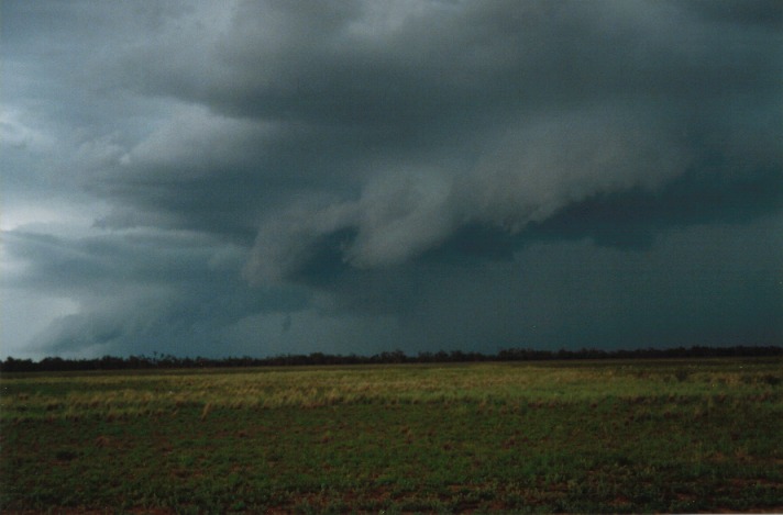 shelfcloud shelf_cloud : S of Cunumulla, Qld   27 November 1999