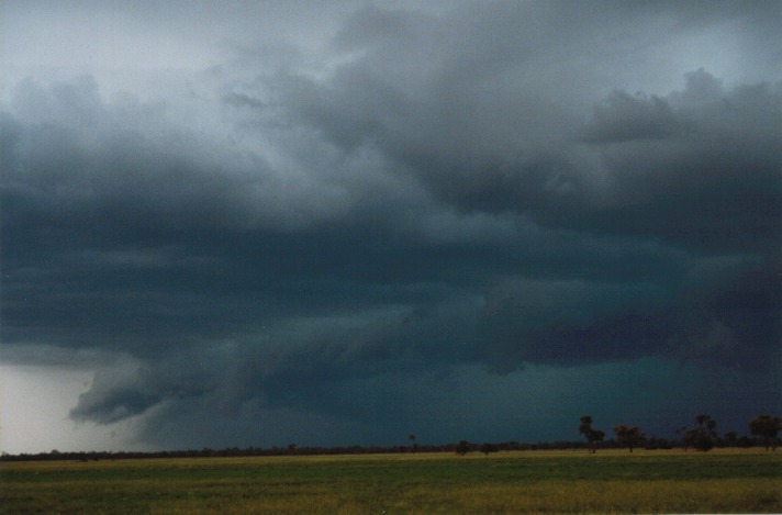 shelfcloud shelf_cloud : S of Cunumulla, Qld   27 November 1999