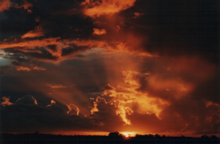 cumulus congestus : Schofields, NSW   24 December 1999