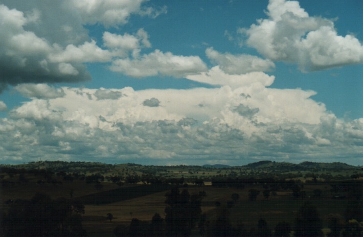 cumulus mediocris : Gulgong, NSW   30 December 1999