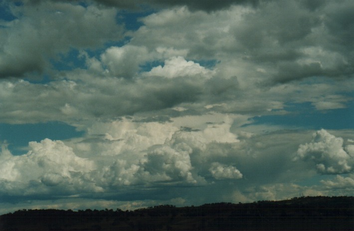 thunderstorm cumulonimbus_incus : Gulgong, NSW   30 December 1999