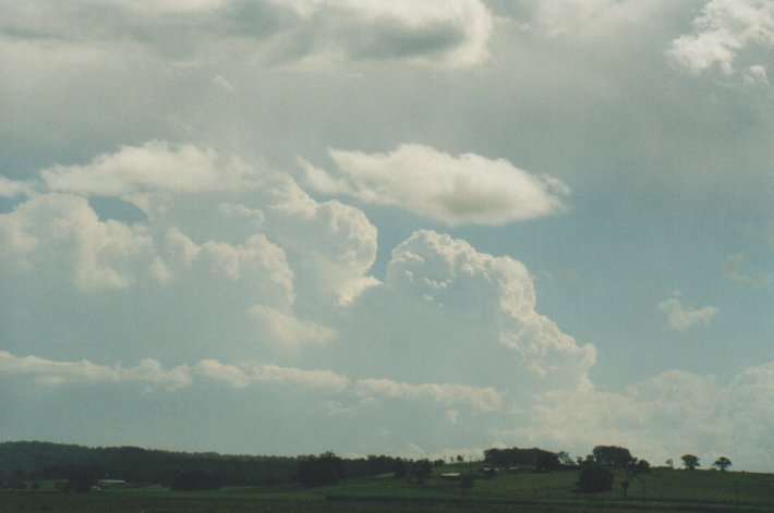 thunderstorm cumulonimbus_calvus : Coraki, NSW   31 December 1999