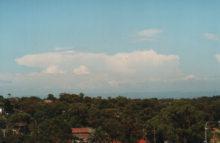 thunderstorm cumulonimbus_incus : Rooty Hill, NSW   4 January 2000