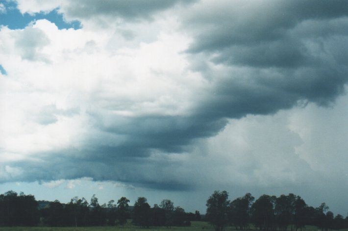 cumulonimbus thunderstorm_base : Parrots Nest, NSW   5 January 2000