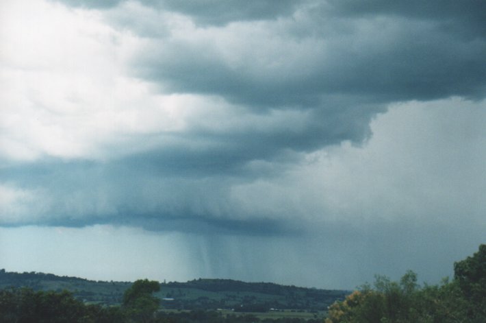 cumulonimbus thunderstorm_base : Parrots Nest, NSW   5 January 2000