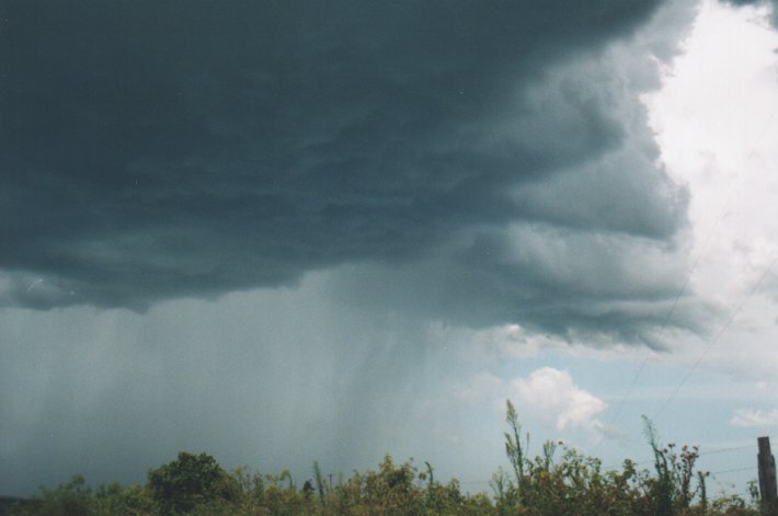 cumulonimbus thunderstorm_base : Parrots Nest, NSW   5 January 2000